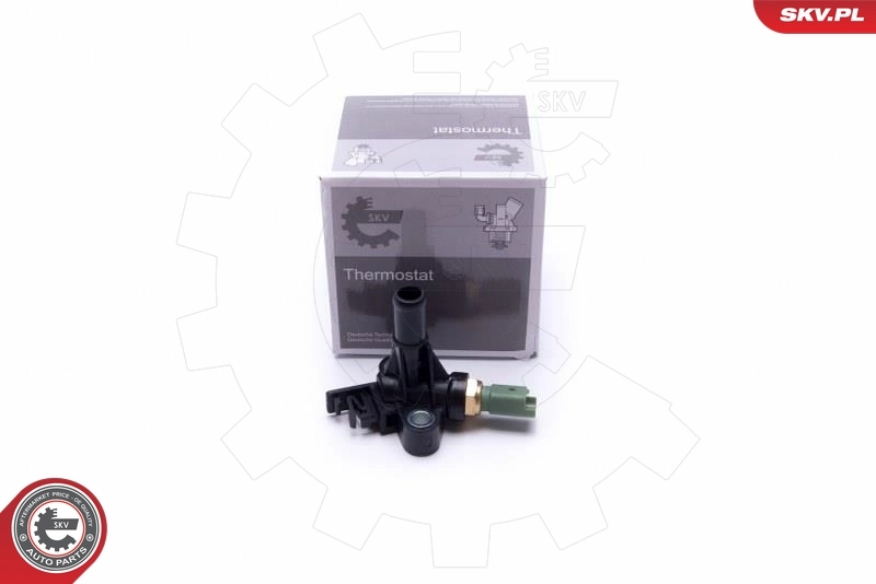 Thermostat, coolant